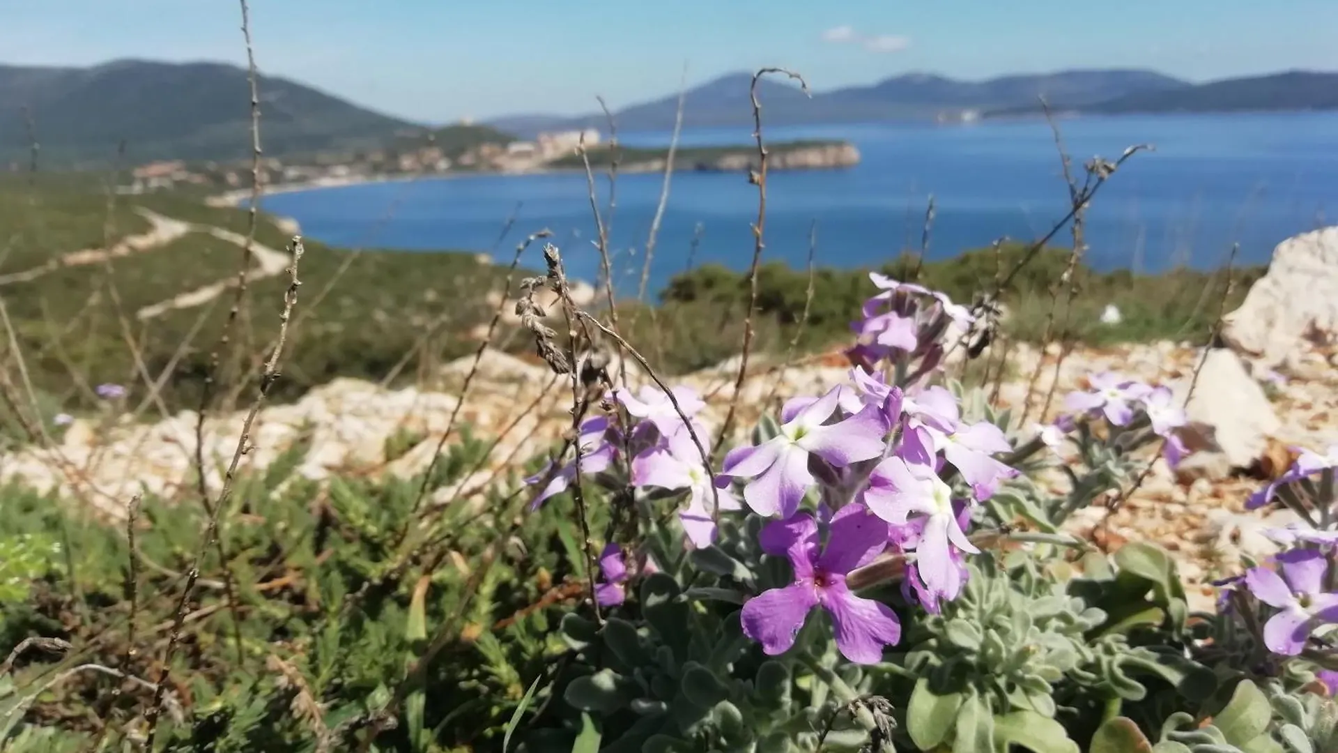 Bed and Breakfast El Matorral Alguer Italia