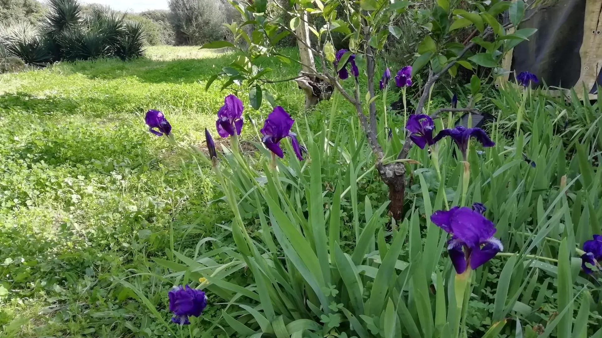 El Matorral Bed & Breakfast Alghero